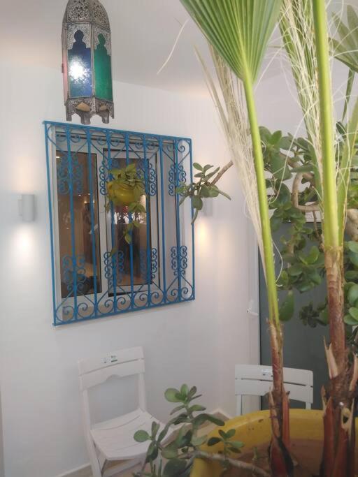 Cosy Appartement In "Sidi Bou Said" Экстерьер фото