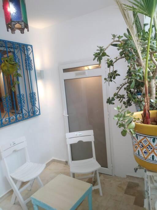Cosy Appartement In "Sidi Bou Said" Экстерьер фото