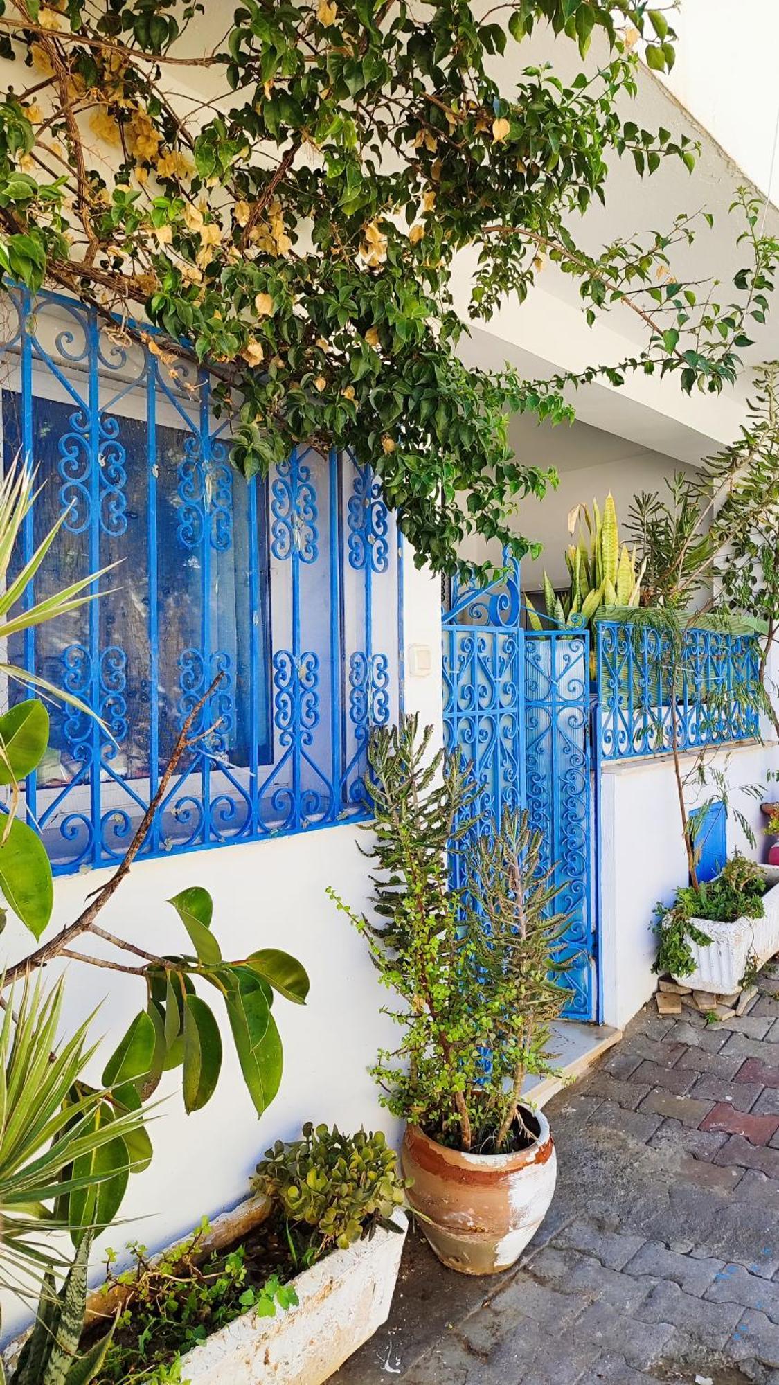 Cosy Appartement In "Sidi Bou Said" Экстерьер фото