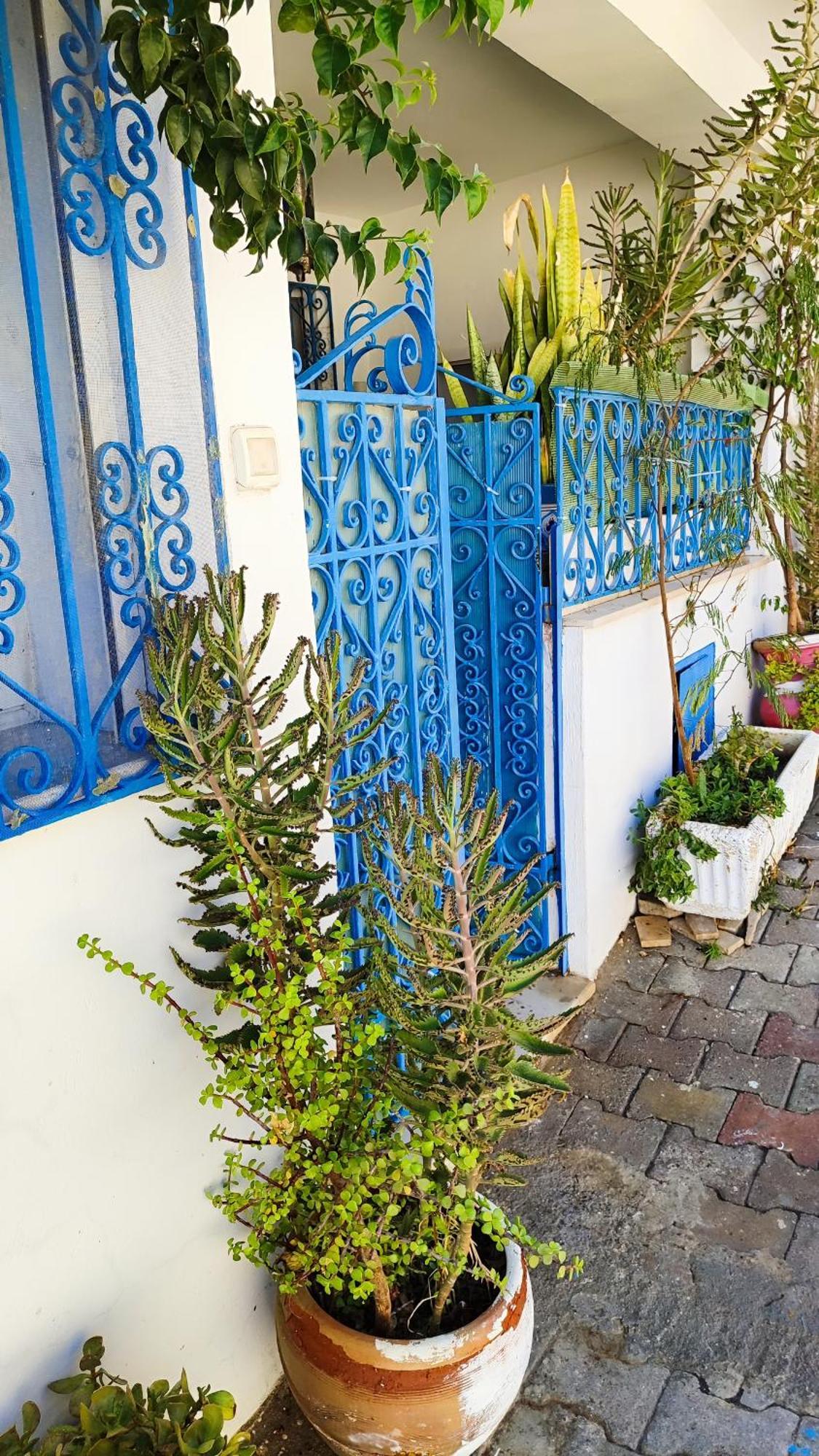 Cosy Appartement In "Sidi Bou Said" Экстерьер фото